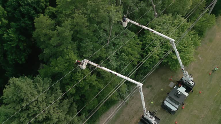 Best Utility Line Clearance  in Decatur, GA