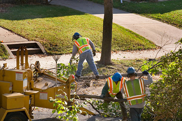 Best Lawn Irrigation Installation and Maintenance  in Decatur, GA